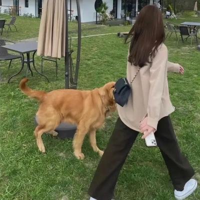 黑月