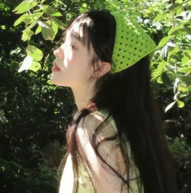 狗狗体型之谜